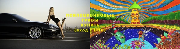 соль ск Алексин