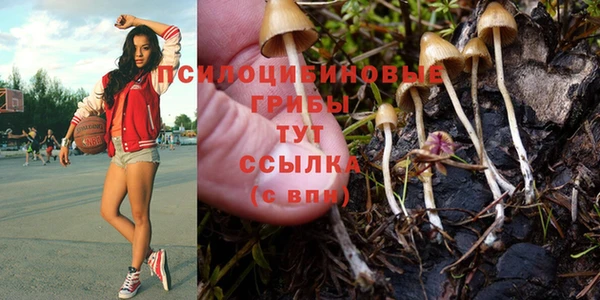 МДПВ Алзамай