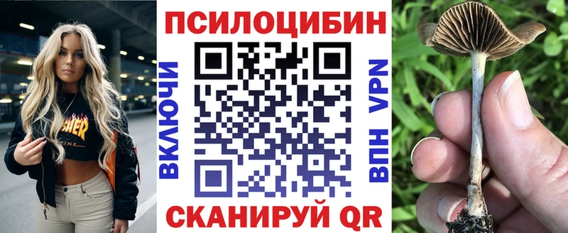 купить наркотики сайты  Печоры  darknet официальный сайт  Галлюциногенные грибы мицелий 
